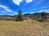 223 Spring Valley Ranch Road - Photo 17
