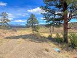223 Spring Valley Ranch Road - Photo 18