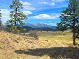 223 Spring Valley Ranch Road - Photo 19