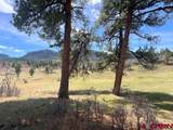 223 Spring Valley Ranch Road - Photo 5