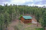 1043 Deer Ridge Drive - Photo 28