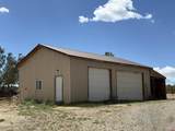 34706 Fruitland Mesa Road - Photo 9