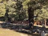 34237 Highway 550 - Photo 28