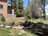 34237 Highway 550 - Photo 30