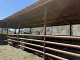 28960 County Road 38 - Photo 44