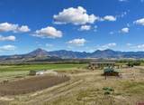1190 7745 Road - Photo 41