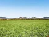 1190 7745 Road - Photo 43
