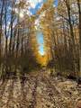 34681 Forest Road 128.G - Photo 4