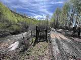 34681 Forest Road 128.G - Photo 6
