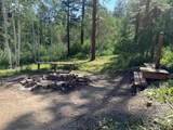 2237 Bear Creek Canyon Road - Photo 20