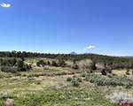 14495 Road W - Photo 39