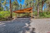 710 Stagecoach Trail - Photo 41