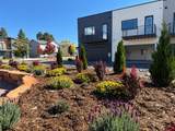 231 Treeline Street - Photo 8