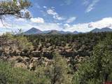 38832 Fruitland Mesa Road - Photo 33