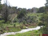 1917 County Rd 22 - Photo 6