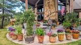 2635 Echo Canyon Ranch Lane - Photo 39