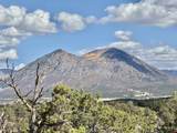 38832 Fruitland Mesa Road - Photo 17