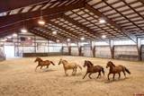 2446 Preservation Place - Photo 5