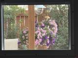 322 Alpine Forest Drive - Photo 33