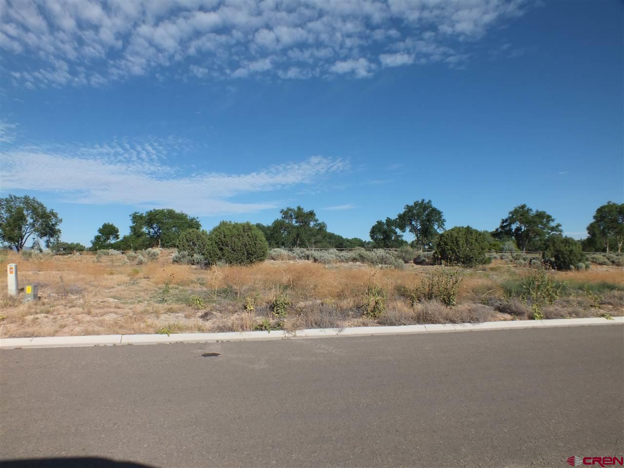 TBD Golf Course Lane - Photo 1