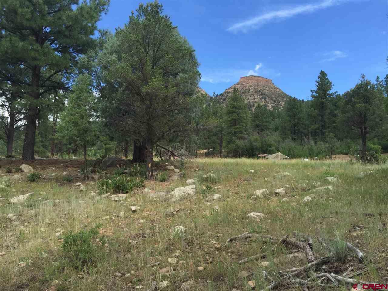 (Lot 28) 106 Wood Rose Lane - Photo 1