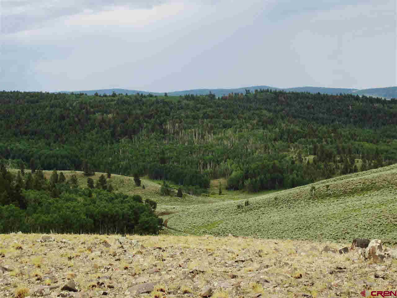 3063 Blm Road - Photo 1