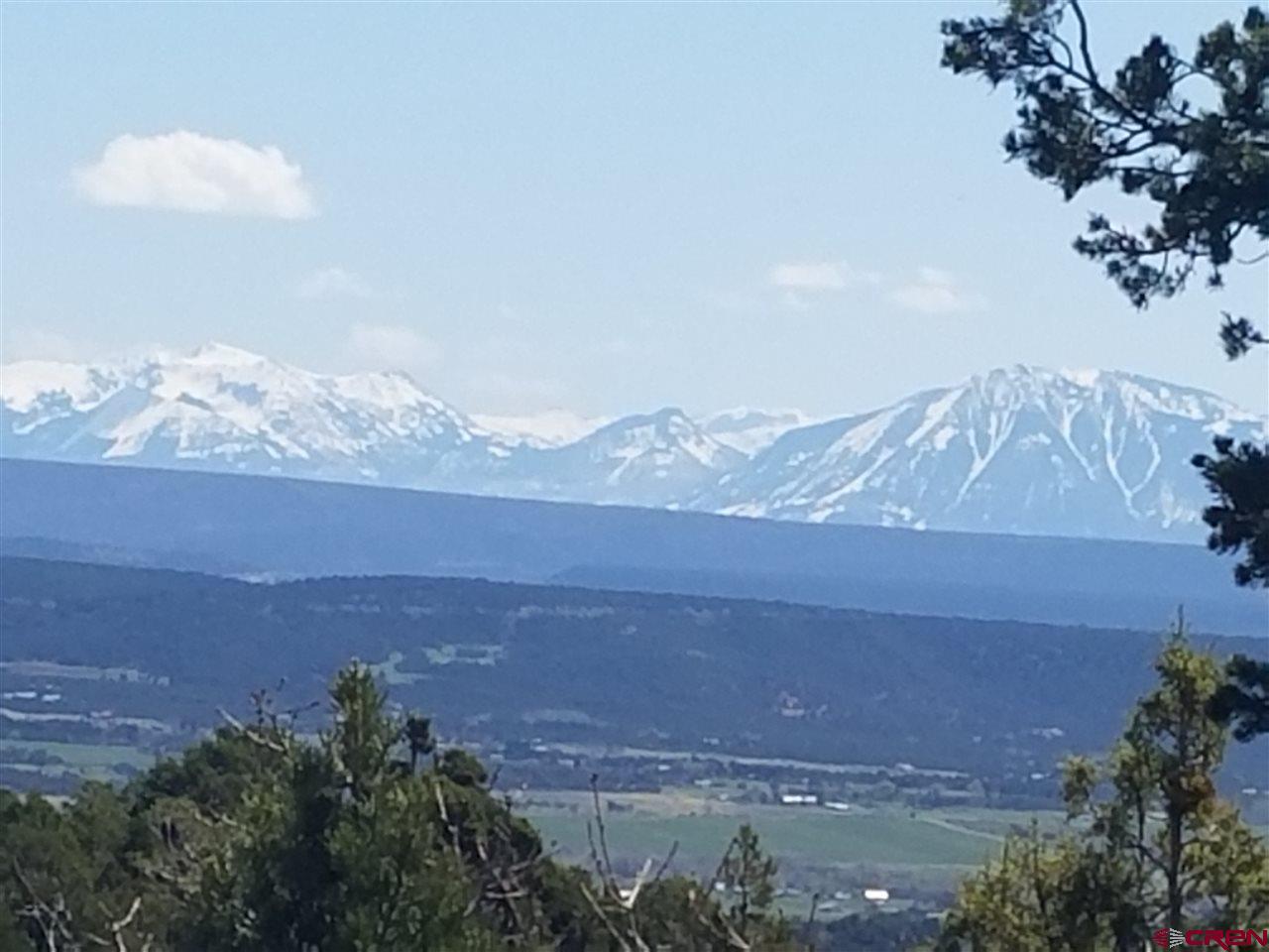 TBD San Juan Vista Rd - Photo 1