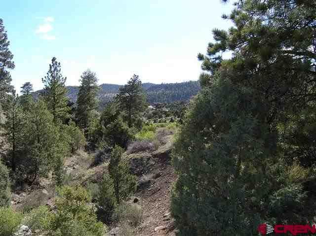 3075 Bear Paw Cutoff - Photo 1
