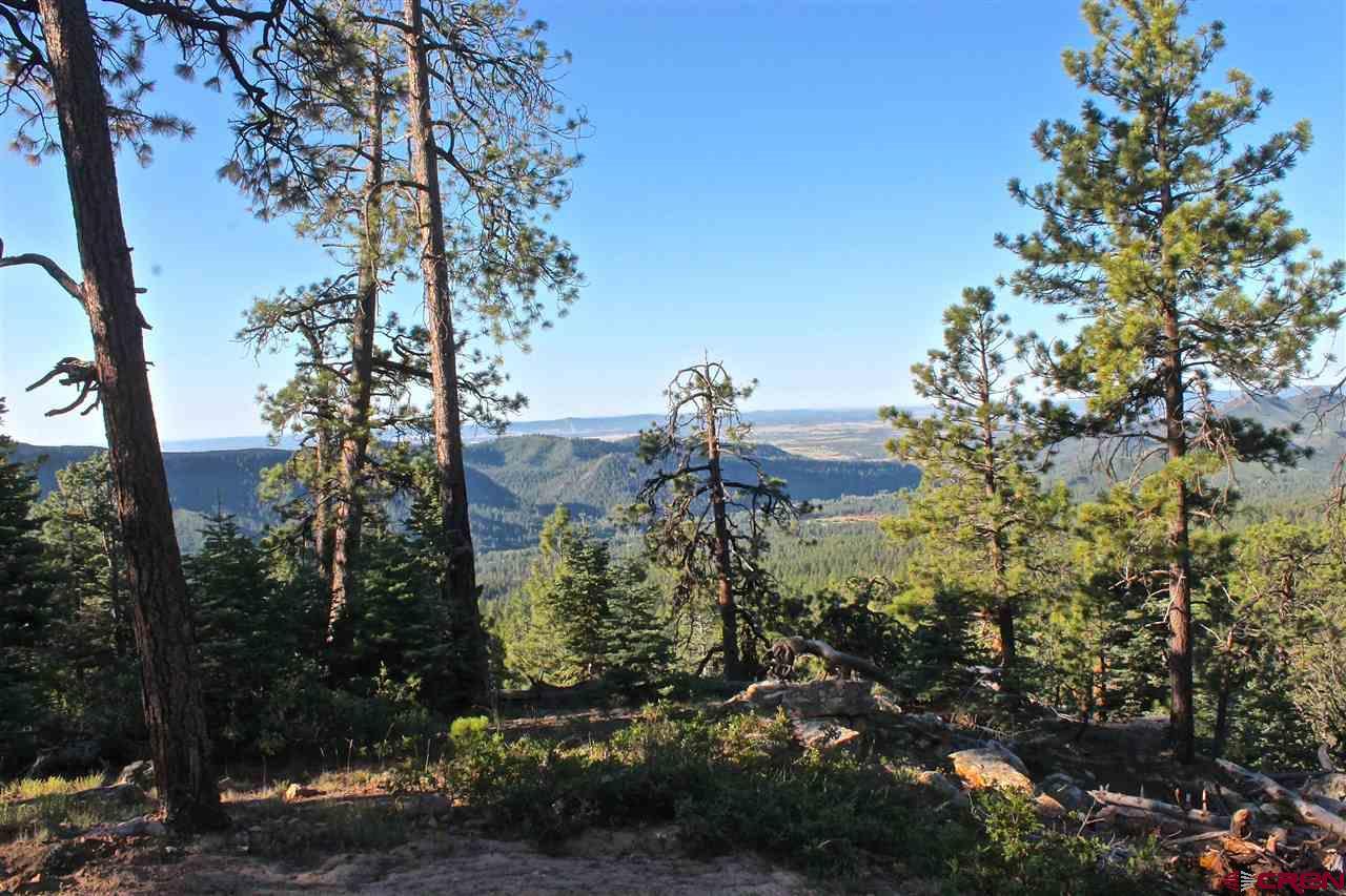 TBD Taylor Ranch Road - Photo 1