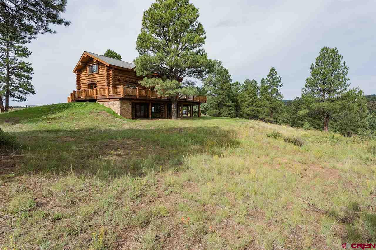 16295 Hwy 160 - Photo 1