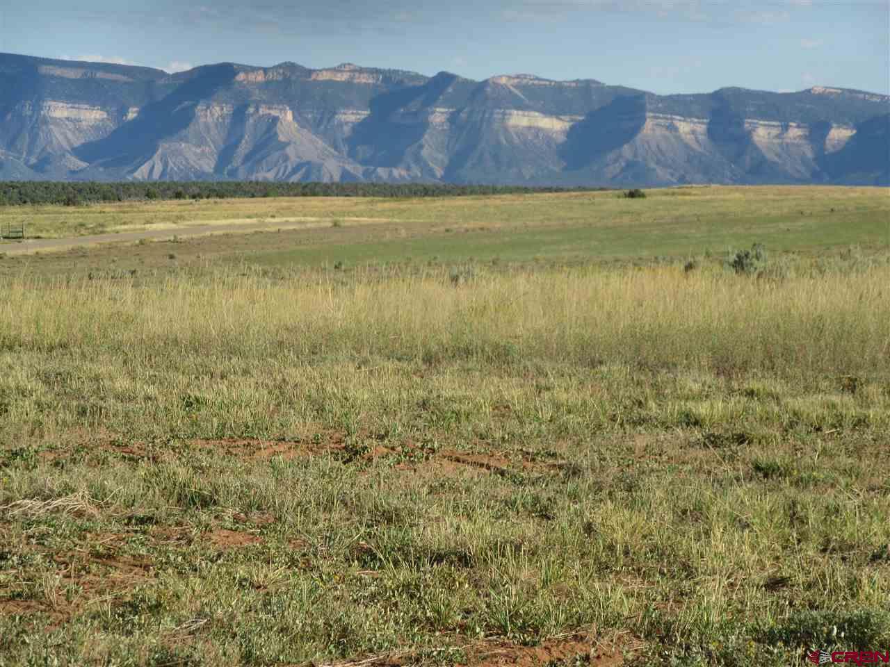 TBD Lot #10 Road 17.9 - Photo 1