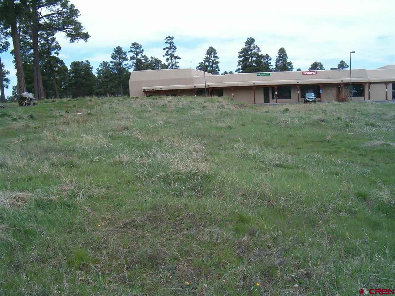 63 Talisman Drive - Photo 1