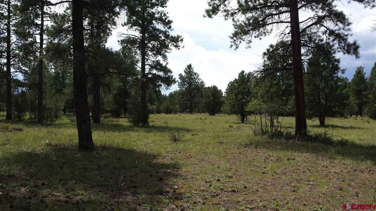 74 Fisher Creek Drive - Photo 1