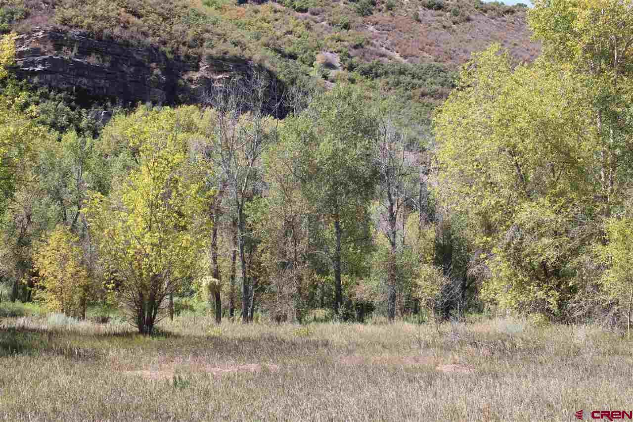 TBD Cr 204 - Photo 1