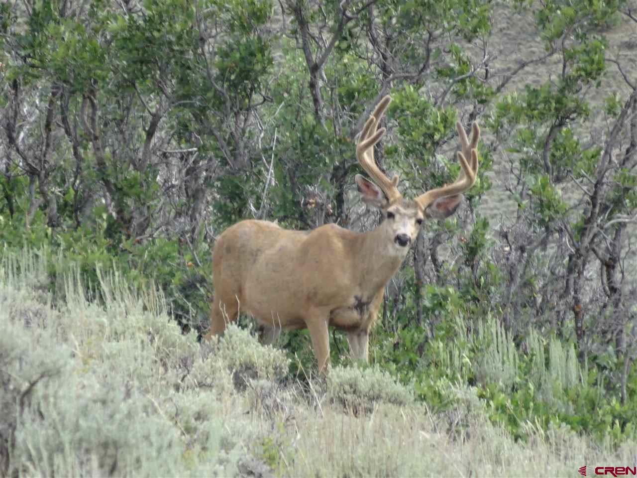 Unumbered County Road 26 - Photo 1