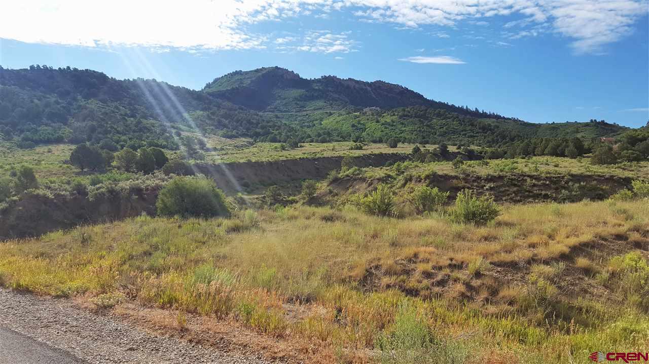 TBD Deer Valley Road - Photo 1
