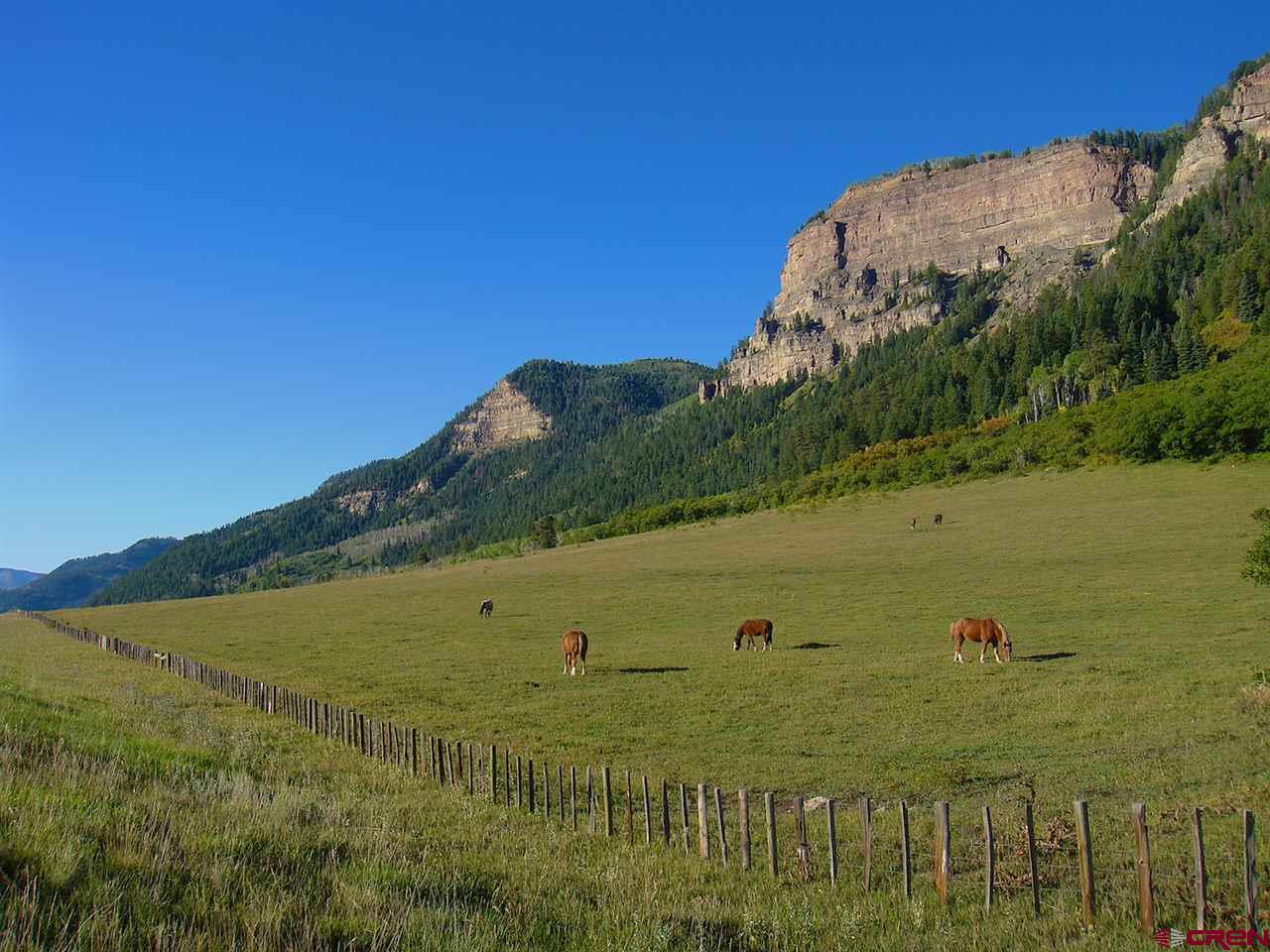 TBD Us Hwy 550 - Photo 1