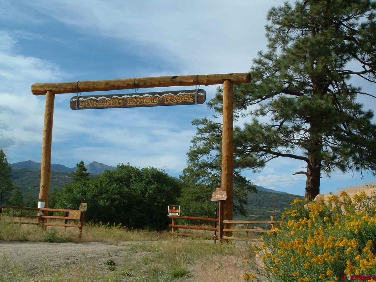 1717 Durango Ridge Road - Photo 1