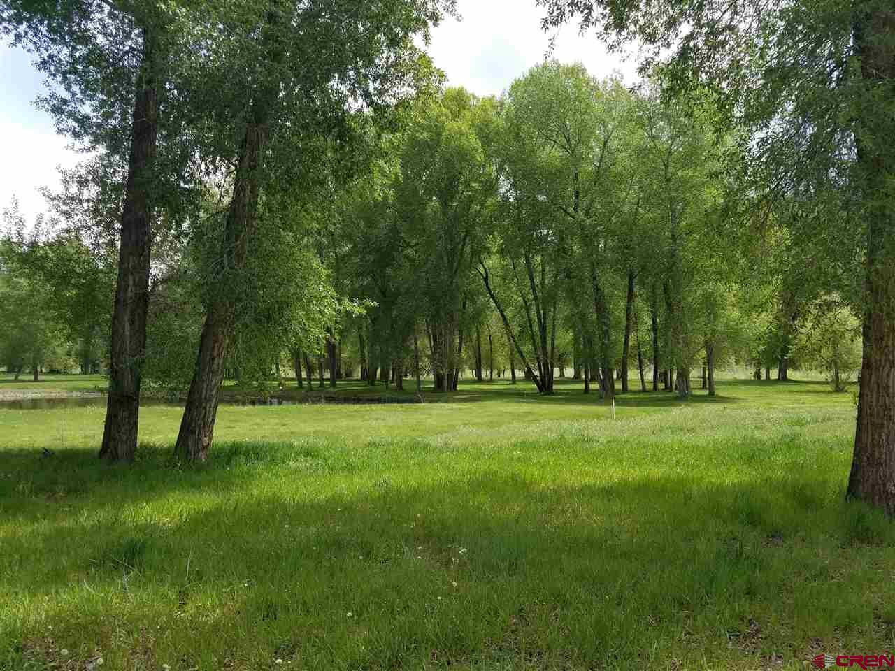 699 Hermosa Meadows Road - Photo 1