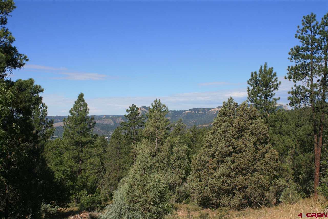 Lot 1 Durango Cliffs Drive - Photo 1