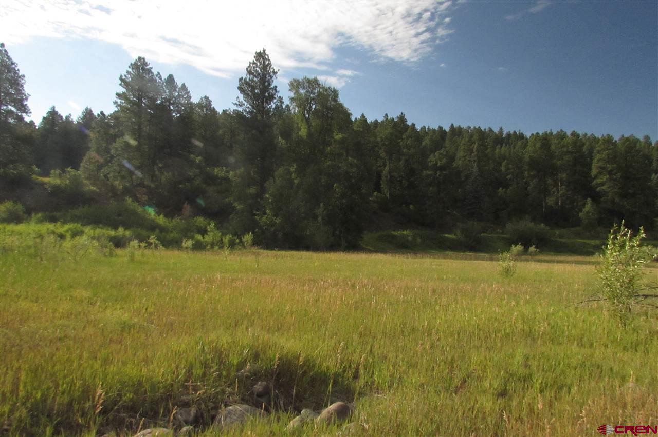 366 Red Ryder Circle - Photo 1
