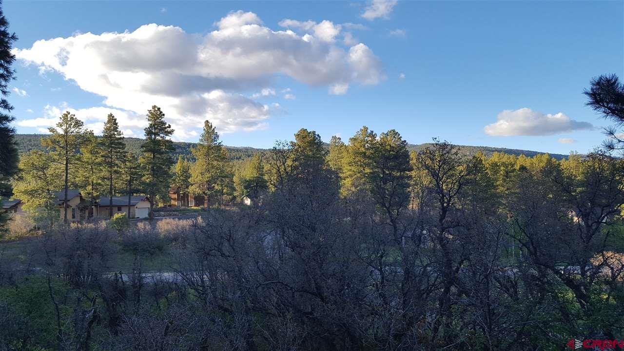 795 Eagle Pass - Photo 1