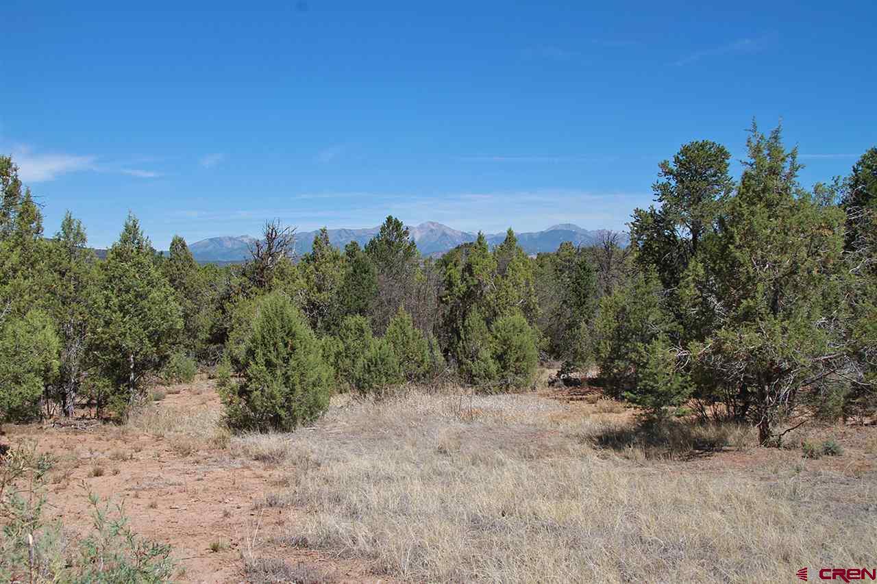 305 Legacy Ranch Lane - Photo 1