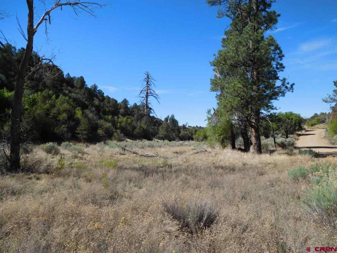 TBD Adobe Drive - Photo 1