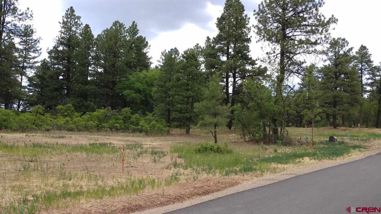 188 Farm Pond Lane - Photo 1