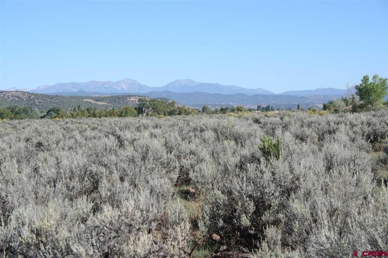 TBD Hwy 550 - Photo 1