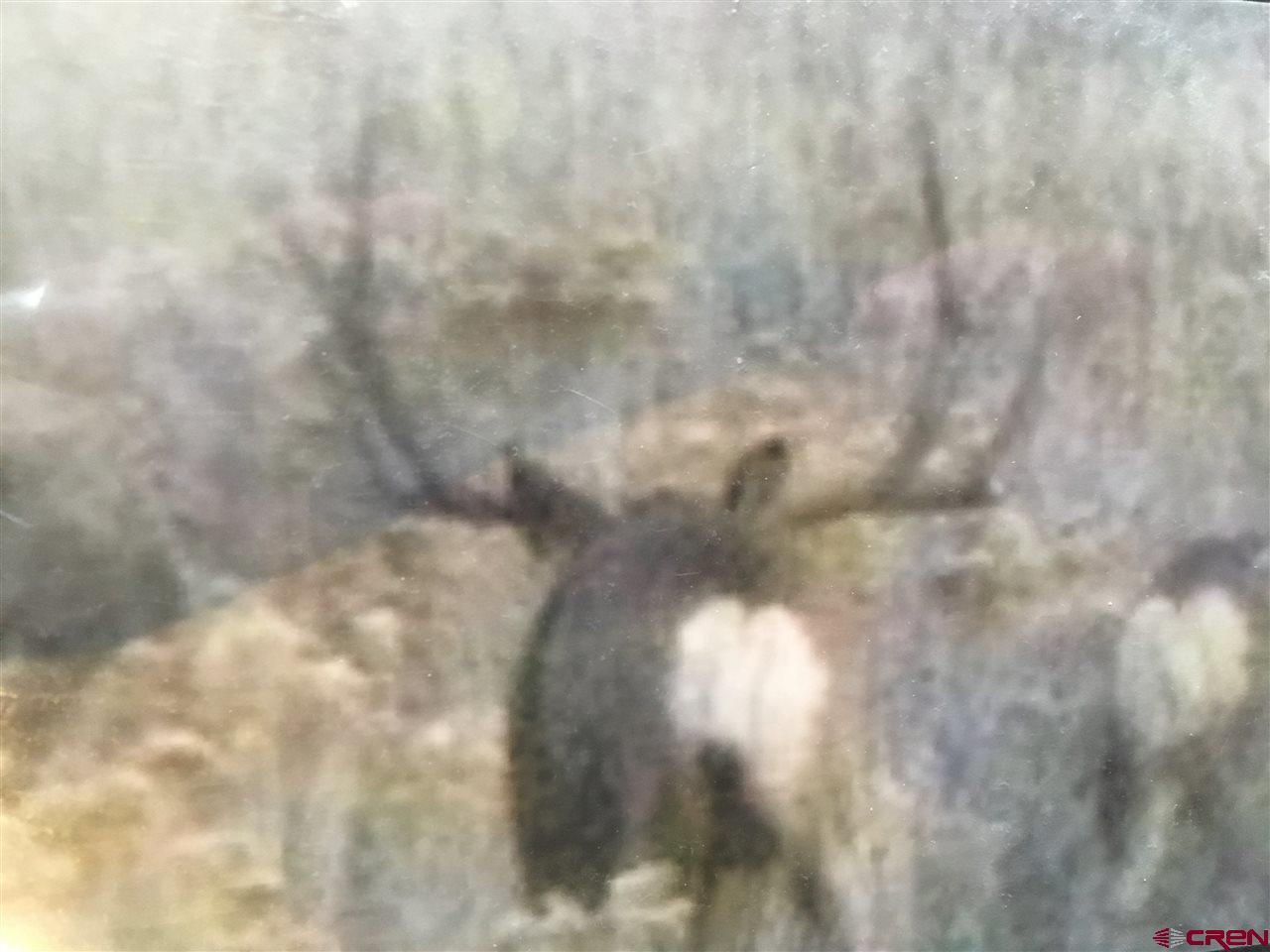 tbd Cr H Road - Photo 1