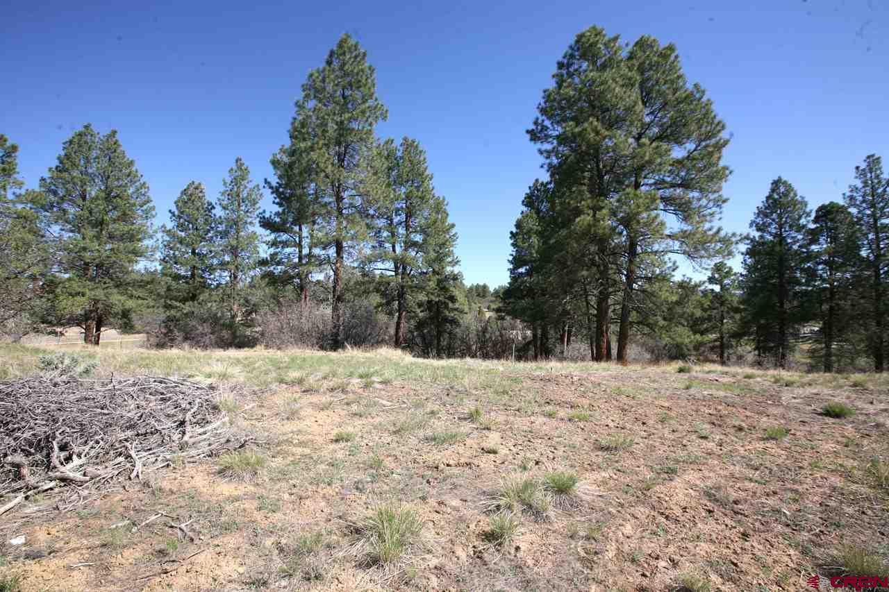 102 South Fork Road - Photo 1