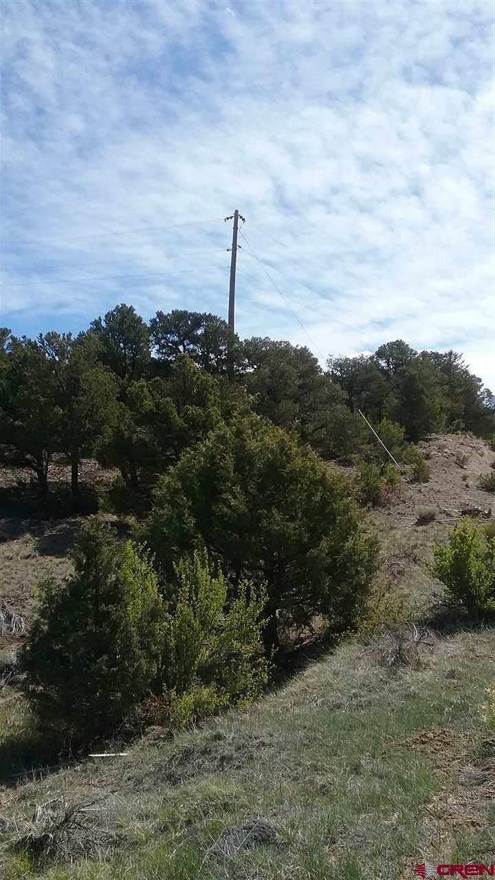 374 Trinchera Rd - Photo 1
