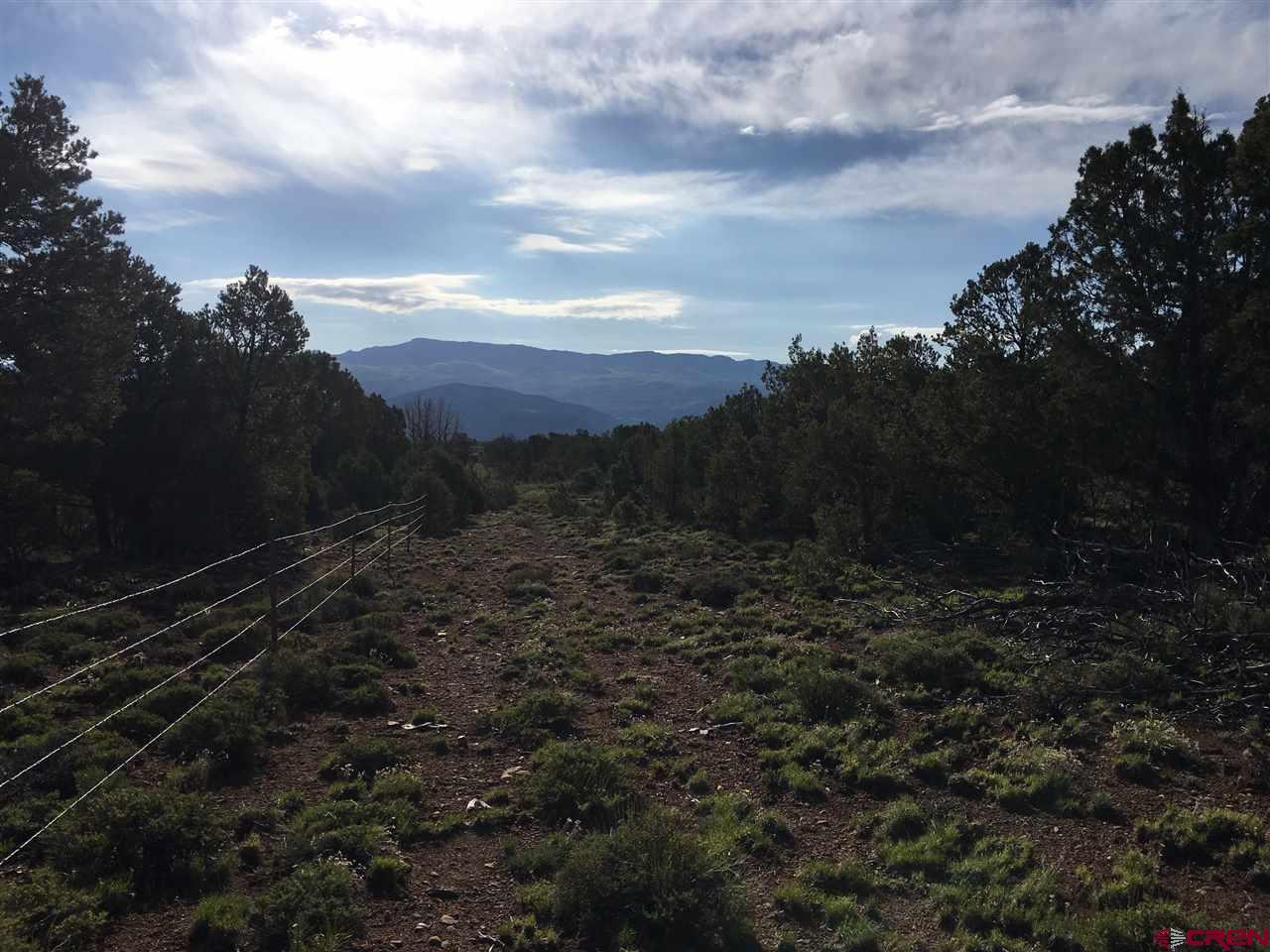 TBD County Road 22 - Photo 1